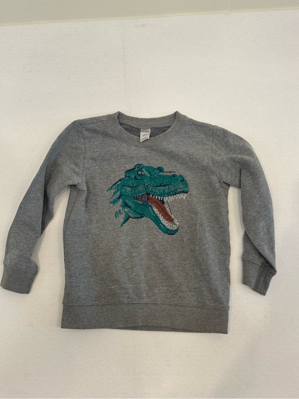 Carter's Gray Sweatshirt with Teal Dinosaur Graphic